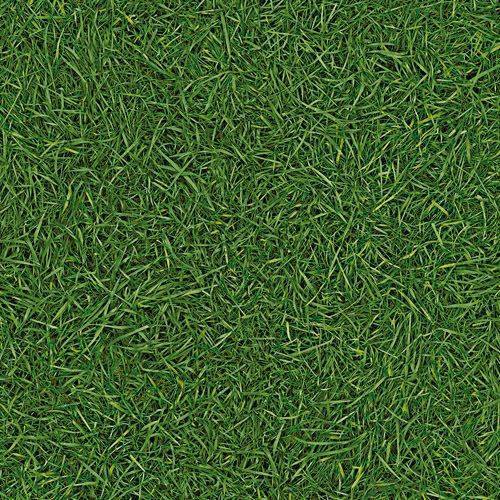 Линолеум бытовой "IVC" Neo Grass 25 (3м) — купить в Великом Новгороде