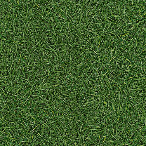 Линолеум бытовой "IVC" Bingo Grass 25 (3м) — купить в Великом Новгороде