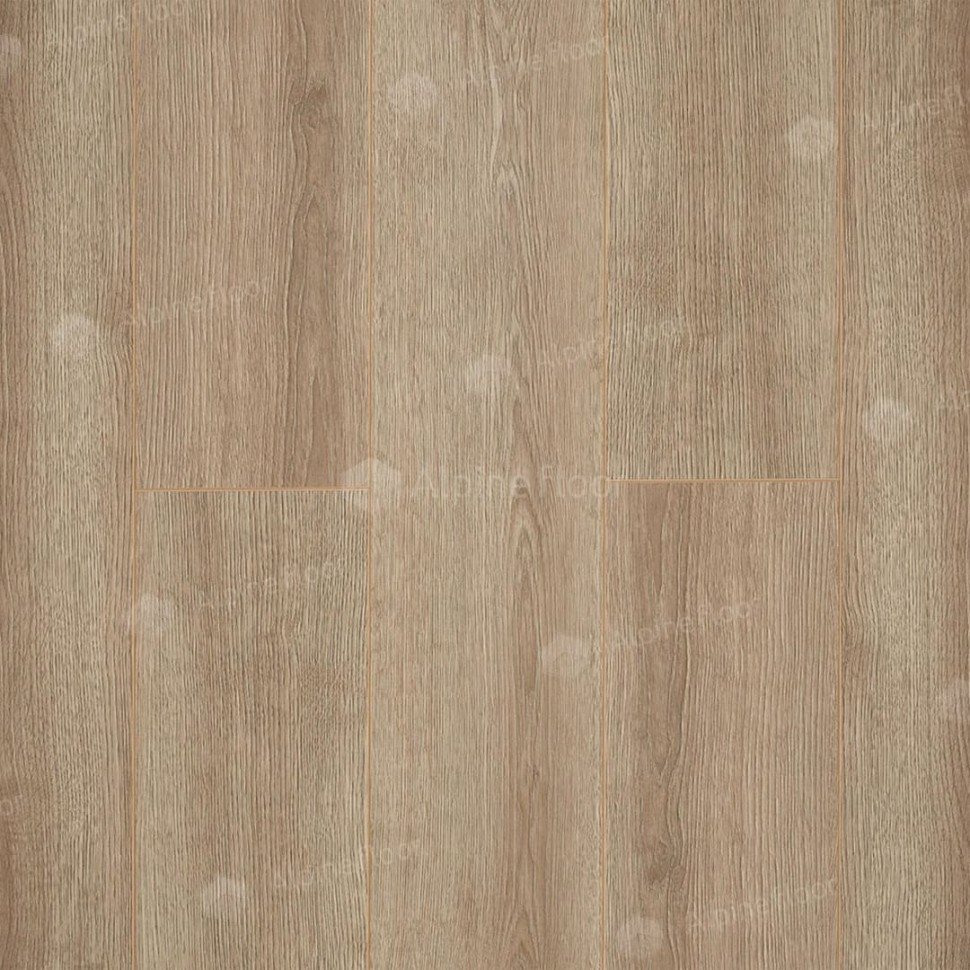 Ламинат "Camsan" Дуб Кашемир (1380*190*10 мм) — купить в Великом Новгороде