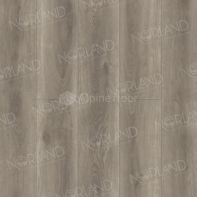 SPC Ламинат "Norland" Templet (1220*196*8 мм) — купить в Великом Новгороде