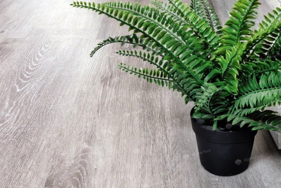 Виниловый ламинат "Alpine Floor" Classic Light MC Ясень Серый (1220*183*3,5 мм) — купить в Великом Новгороде