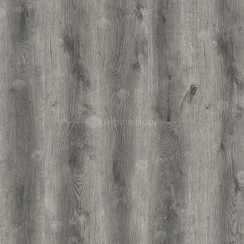 Ламинат "Camsan" Дуб Грей (1380*192,5*8 мм) — фото и характеристики